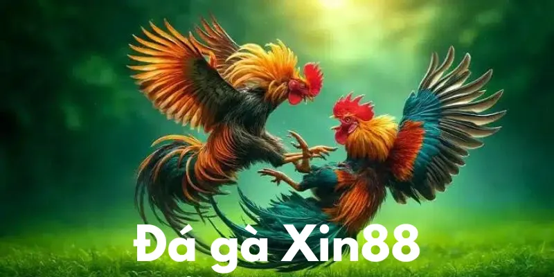 da-ga-xin88-anh-dai-dien