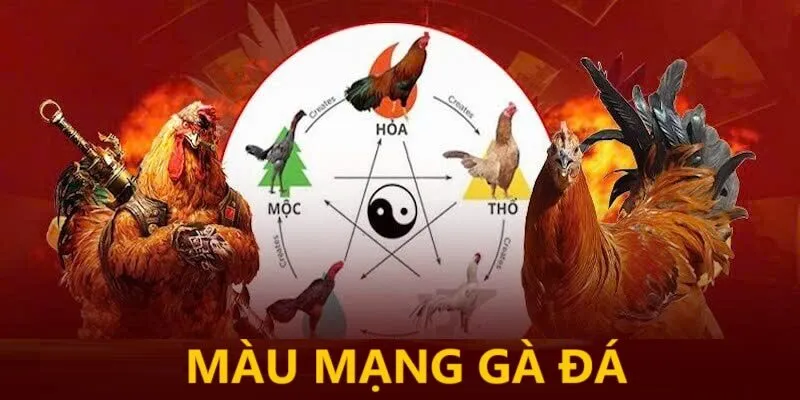 Không nên quá phụ thuộc vào một màu mạng duy nhất Không nên quá phụ thuộc vào một màu mạng duy nhất